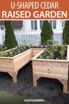 three wooden raised garden beds in front of a house with text overlay reading u - shaped cedar raised garden