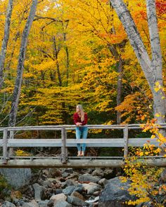 a woman sitting on a bridge over a river surrounded by trees with fall foliage in the background