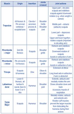 a table with the names and numbers of different types of people in each region, including