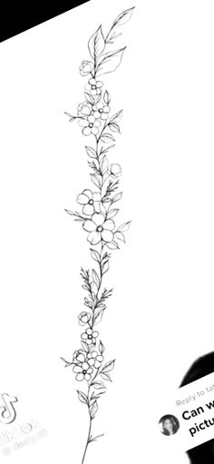 a black and white drawing of a flower