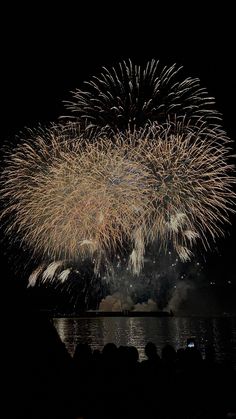 fireworks are lit up in the night sky above water and people watching it from shore