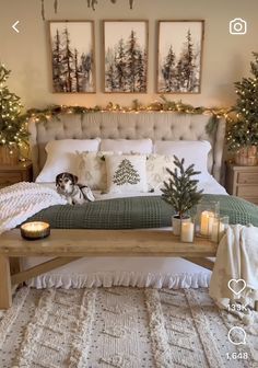 a dog is laying on a bed with christmas decorations and candles in front of it