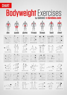 the bodyweight exercises chart is shown