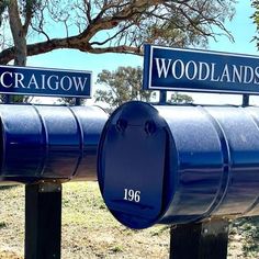 two blue mailboxes sitting next to each other on top of a grass covered field