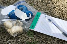 a notepad, pen and garlic on the ground