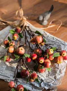 some fruit is sitting on top of a piece of paper and tied with twine