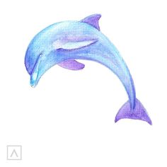 a drawing of a dolphin jumping in the air