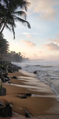 the beach is lined with rocks and palm trees