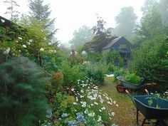 a garden filled with lots of flowers next to a house on a foggy day