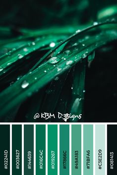 the color scheme is green and has water droplets on it, as well as other colors