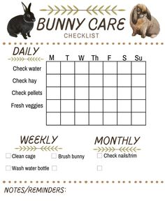 the bunny care checklist is shown in this printable