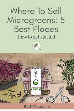 the cover of where to sell microgreens 5 best places how to get started