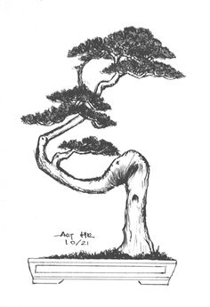 an ink drawing of a bonsai tree