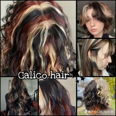 Calico Curly Hair, Short Calico Hair, Calico Hair Dye, Dark Calico Hair, Summer Hair Dye, Calico Hair, 2024 Hair Trends, Girl Hair Colors, Haircuts For Women Over 50