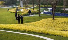 several people are walking around in the grass