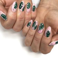 Amy Rickaby on Instagram: “A dreamy pink base with some monstera leaves ☘️ I could of quite easily stamped these but wheres the fun it that! Plus i wanted to try out…” Monstera Nail, Leaf Nails, Monstera Leaves, Unique Nails, Monstera Leaf, Nail Inspo, Instagram A, Health And Beauty