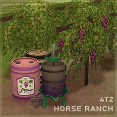 the horse ranch is full of barrels and grapes