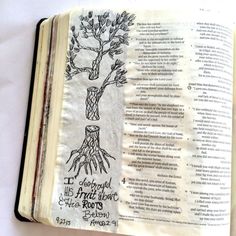 an open bible with a tree drawn on it