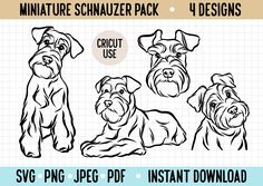 three dogs in different poses with the text miniature schnauzer pack 4 designs