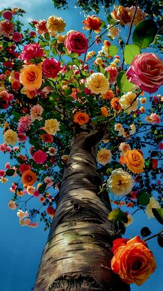 a tall tree with lots of flowers growing on it's trunk and leaves in the foreground