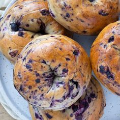 blueberry bagels on a white plate sitting on a table