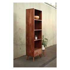 a tall wooden bookcase sitting next to a potted plant