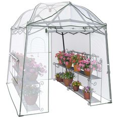 a green house with potted plants in it