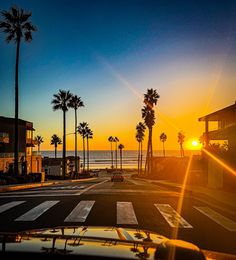 the sun is setting behind palm trees on the beach side with buildings in the foreground