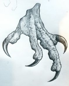 a drawing of an animal's claws and tail