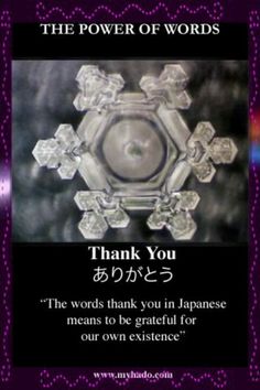 Thank you vibration in frozen water ~ "The words thank you in Japanese means to be grateful for our own existence" ♥♥ How deeply beautiful... Masaru Emoto Water, Hidden Messages In Water, Thank You In Japanese, Nature Geometry, Masaru Emoto, Water Experiments, Structured Water, The Power Of Words, Power Of Words