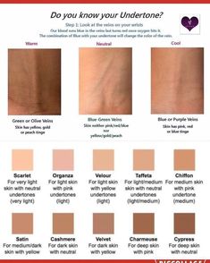 How To Know Undertone Skin, Different Undertones Skin, Foundation For Deep Winter, Colour Palette For Neutral Skin Tone, Cool Skin Tone Makeup Looks, Best Foundation For Dark Skin, Best Hair Colors For Neutral Skin Tones, Skin Undertones How To Tell, Neutral Undertone Skin Color Palettes