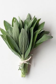 a bunch of green leaves tied together on a white surface with some string around them