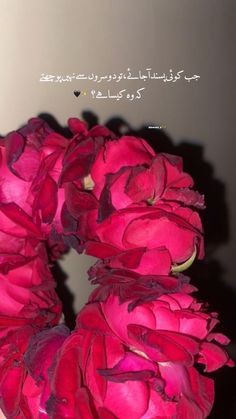 a close up of a pink flower on a white surface with an arabic text above it