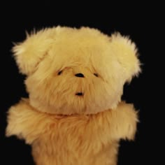 a stuffed teddy bear sitting up against a black background