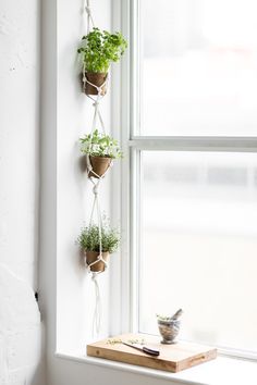 three potted plants are hanging on a window sill next to a cutting board