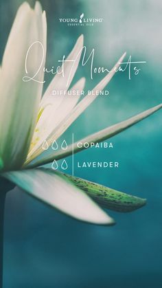 Young Living Essential Oil Diffuser, Copaiba Essential Oil, Doterra Essential Oils Recipes, Living Brand