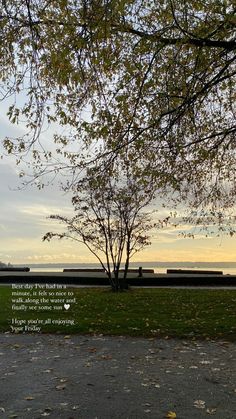 a bench under a tree in front of a body of water with a quote written on it