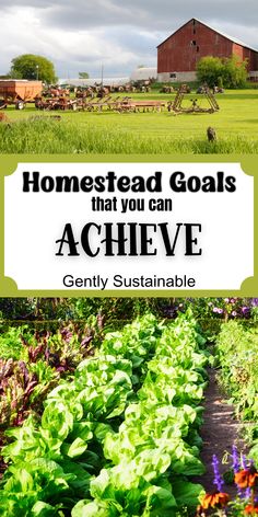 an image of a farm with the words, homestead goals that you can achieve