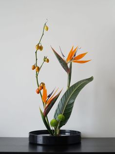 a plant with orange flowers and green leaves in a black pot on a table next to a white wall