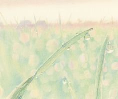 a drawing of grass with water drops on it