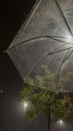 an open umbrella sitting on the side of a tree at night with lights shining in the background