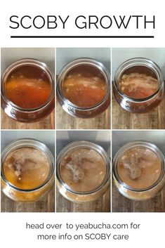 the steps in how to make scoby growth from head over to vacucha com for more info on scoby care