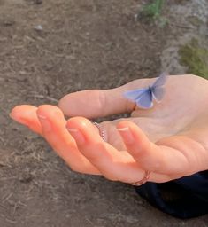 a hand holding a tiny blue butterfly in it's palm, with dirt on the ground