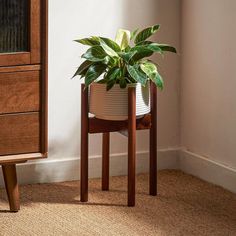 a potted plant sitting on top of a wooden stand next to a dresser in a room