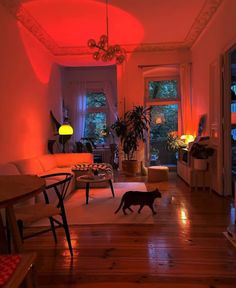 a cat walking through a living room with red lights on the ceiling and furniture in the background