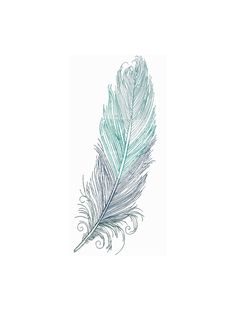 a drawing of a feather on a white background