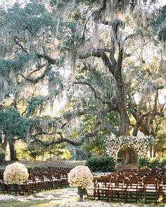 an outdoor ceremony setup with white flowers and greenery in front of a large oak tree