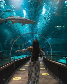 a woman looking at sharks in an aquarium