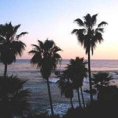 an image of palm trees on the beach at sunset or dawn, with captions in english and spanish