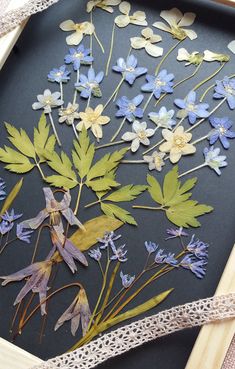 pressed flowers and leaves in a wooden frame